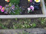 image of grave number 569468